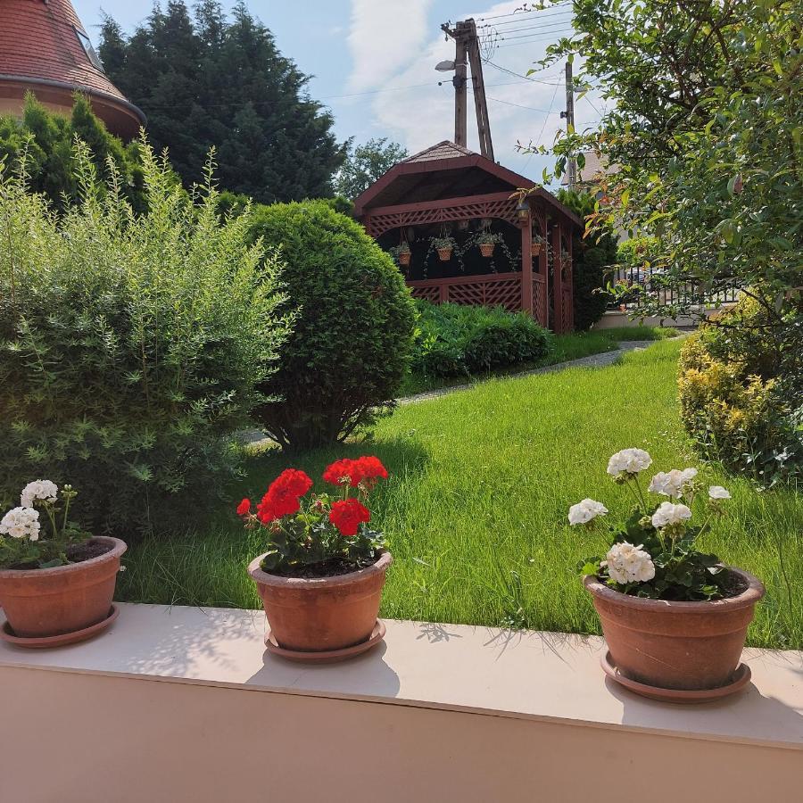 Erika Apartmanhazak Хевиз Экстерьер фото
